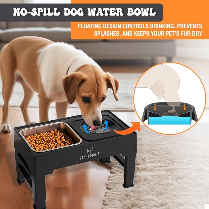 Elevated Dog Bowls, Raised Dog Bowl Stand with 4 Adjustable Heights, Stainless Steel Food Bowl & No-Spill Water Bowl – Dog Bowls Elevated for Small, Medium & Large Dogs - Image 6