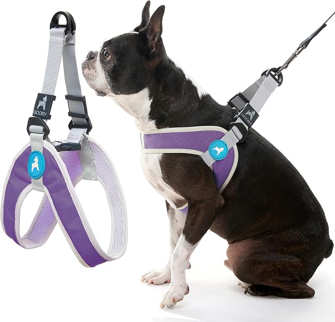 Gooby Simple Step-in III Dog Harness, Purple, Medium | Slide-to-fit chest strap; Breathable inner mesh; Scratch-resistant outer; Quick-release buckle; Durable POM leash ring by Gooby