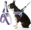 Gooby Simple Step-in III Dog Harness, Purple, Medium | Slide-to-fit chest strap; Breathable inner mesh; Scratch-resistant outer; Quick-release buckle; Durable POM leash ring by Gooby