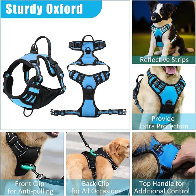 No Pull Dog Harness Adjustable Collar & Leash Set - Dog Halter Harnesses Collapsible Bowls & Poop Bag Dispenser Muzzle ID Tags Toys Fits Small Medium Large Dogs (Blue-XL) - Image 3