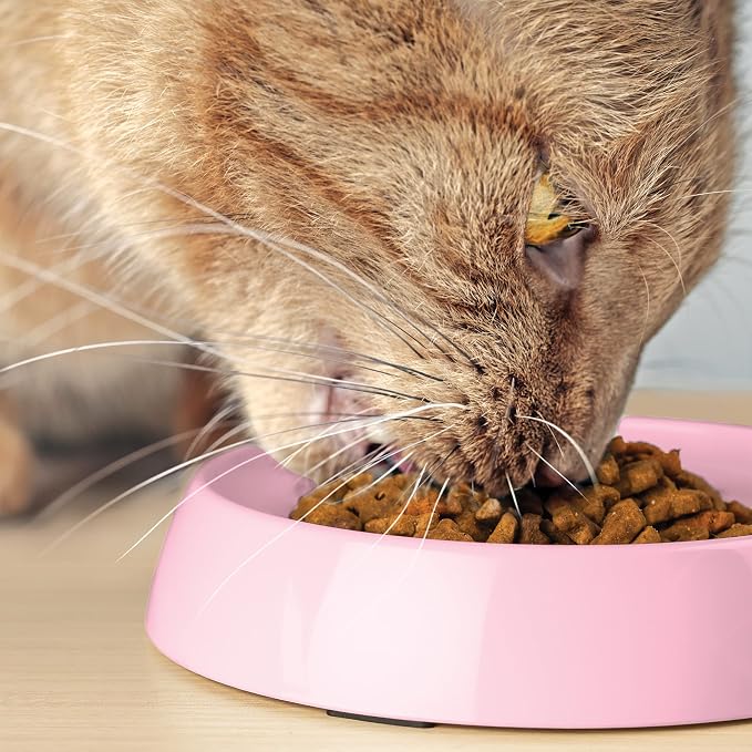 CatGuru Cat Bowls, Whisker Friendly Food Bowl for Indoor Cats, Reliefs Whisker Fatigue, Wide Kitten Dish, Non Slip Pet Dishes, Shallow Pet Plates (Pink, (Pack of 2)) - Image 8
