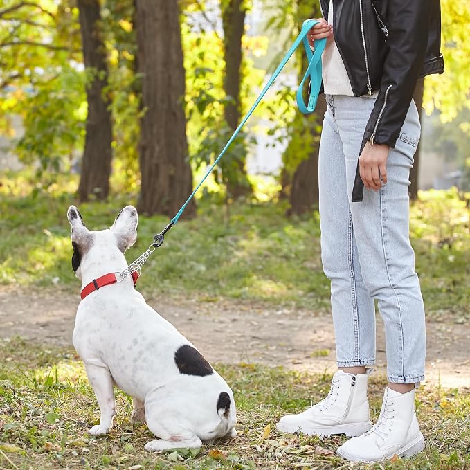 Dogline Biothane Waterproof Dog Leash Strong Coated Nylon Webbing with Black Hardware Odor-Proof Easy to Clean High Performance for Small or Large Dogs Made in USA 4 or 6 ft Lead, Sky Blue - Image 7