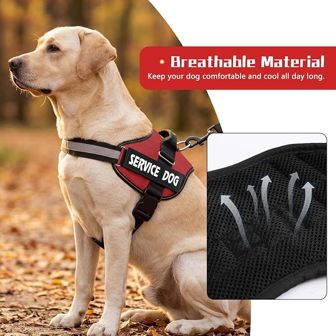 MUMUPET Service Dog Vest, No Pull & Reflective Dog Harness, Red, XL | Easy Control Handle, Soft & Breathable Padding, Adjustable Fit for Small to Large Dogs, 2 Removable Patches - Image 3