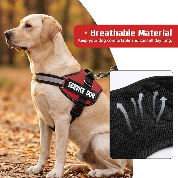 MUMUPET Service Dog Vest, No Pull & Reflective Dog Harness, Red, M | Easy Control Handle, Soft & Breathable Padding, Adjustable Fit for Small to Large Dogs, 2 Removable Patches - Image 3