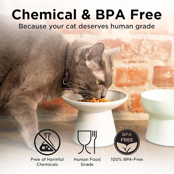 Necoichi BPA-Free Extra-Wide Elevated Cat Food Bowls, 2-Pack (Classic) - Image 6