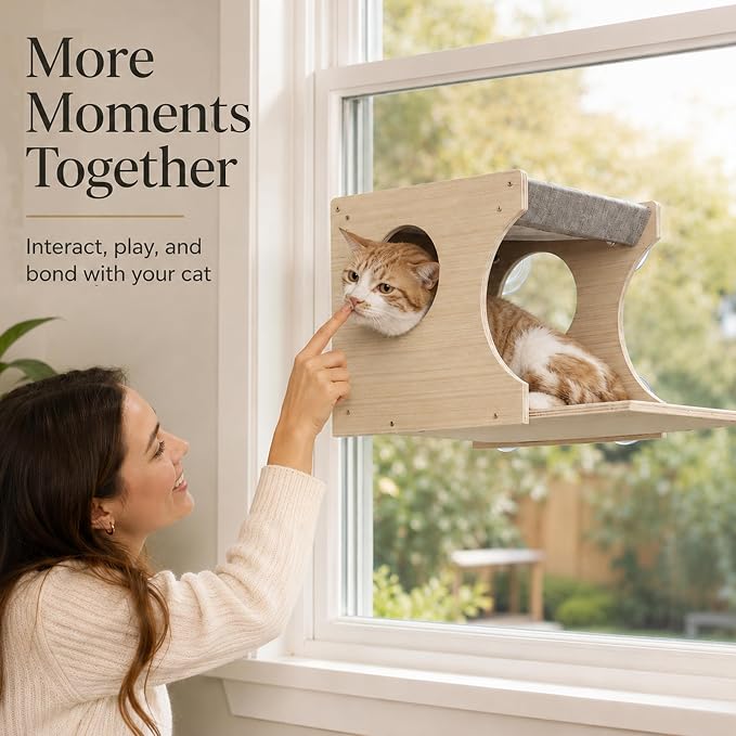 Cat Window Perch，2-Tier Hammock & Hideaway House with Strong Suction Cups | Right-opening, Drill-Free, Hold Up to 45 lb Support, For Small to Medium Cats, Let Cats Lounge, Climb and Watch Outside - Image 4