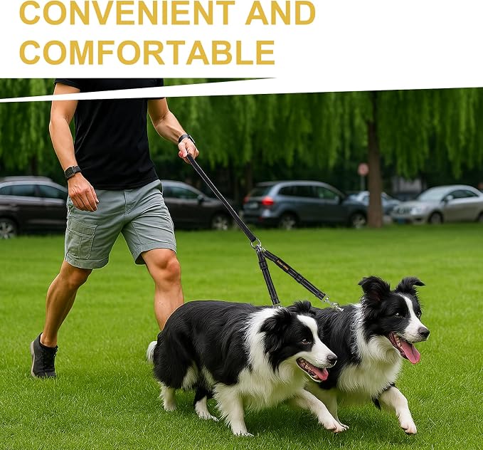 MingXpet Double Dog Leash for Two Dogs, No Pull Dog Leash, 360° Swivel No Tangle for Medium Dogs Walking & Training, Shock Absorbing Reflective Bungee, Black - Image 7