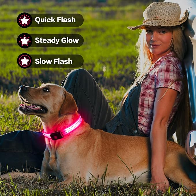 Light Up Dog Collar for Night Walking Flashing, LED Dog Collar Light Rechargeable Reflective Dog Collar Water-Resistant Adjustable Size Dog Collars for Medium Dogs - Image 3