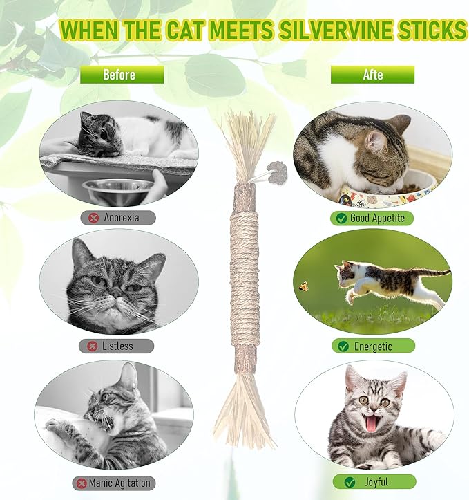 BAWAN Silvervine Sticks Cat Chew Toys for Indoor Cats Dental Care Teeth Cleaning, Natural Kitten & Cat Teething Toys for Health, Cat Chew Stick Suitable for All Breeds of Aggressive Chewers Cat - Image 5
