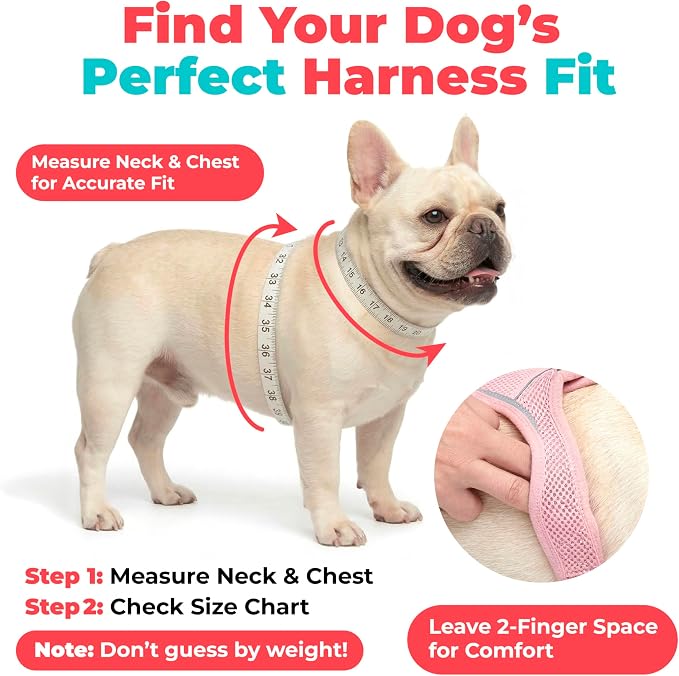 Voyager Step-in Air Dog Vest Harness - Burgundy, Small | 14.5-16" in Chest, Reflective Bands, All Weather Breathable Air Mesh, Cats Compatible, Lightweight, Fast Drying - Image 7