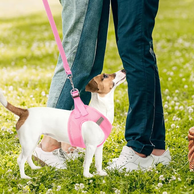 PUPTECK Dog Harness, Collar and Leash Set No Pull for Small Medium Sized | Soft Mesh Puppy Step-in Escape Proof Reflective No Choke Pet Cat Adjustable Walking Vest - Image 7
