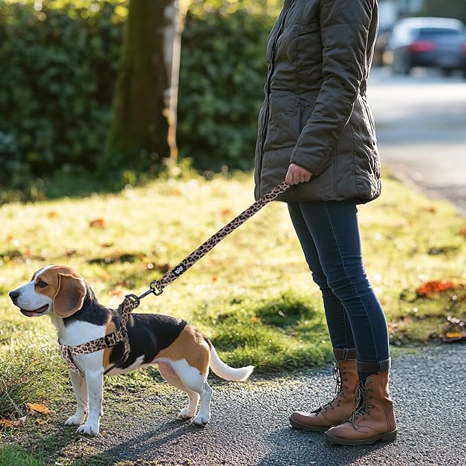 Dog Harness Leash Set Adjustable Heavy Duty No Pull Halter Harnesses for Small Medium Large Breed Dogs Back Clip Anti-Twist Perfect for Walking - Image 7