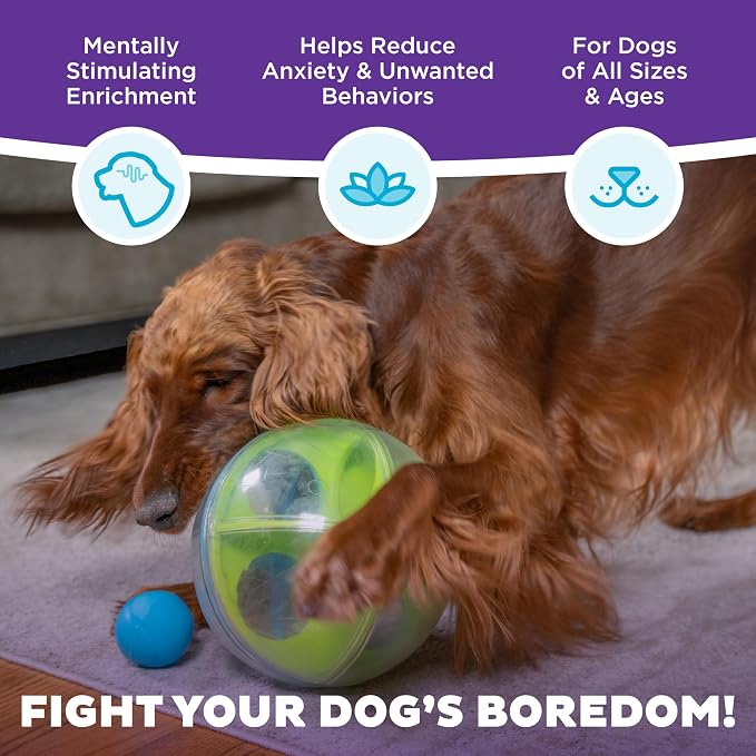 Outward Hound by Nina Ottosson A-Maze Ball Dog Treat Puzzle Ball, Level 2 Intermediate, Green - Image 3