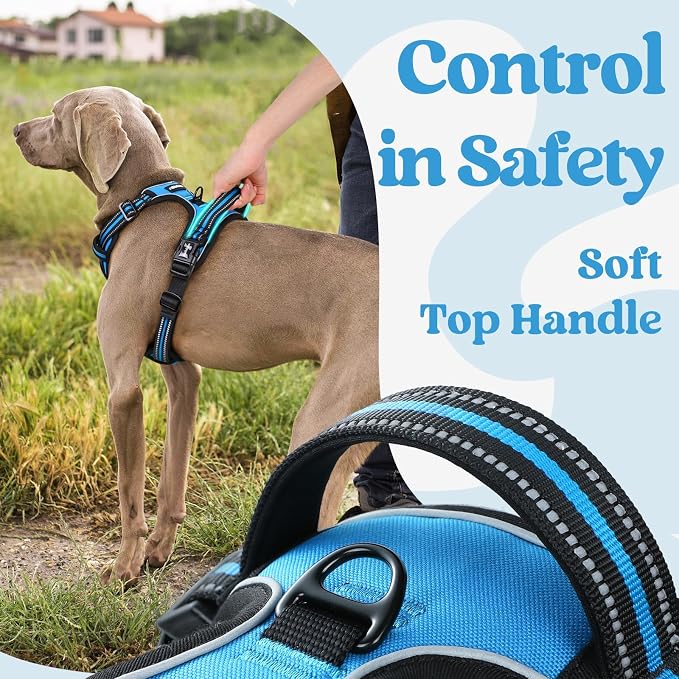 rabbitgoo Dog Harness Medium Sized, Updated Easy On & Off with 3 Buckles | No Pull No Choke, Walking with 2 Clips and Handle, Adjustable Soft Reflective, Sky Blue, Medium - Image 5