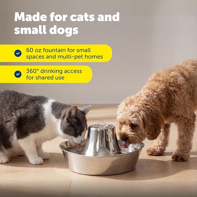 Seaside Stainless Cat & Dog Fountain with 4-Pack of Carbon Filters | 60 Oz Capacity with Extra Carbon Filters, Triple-Filter Operation, 360-Degree Flow, Rust-Resistant Stainless Steel - Image 7