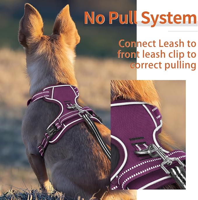 HEELE Dog Harness for Medium Dogs No Pull Dog Vest Harness with Soft Padded Handle Reflective for Outdoor Training, Purple(Matching Trim), M | Soft Breathable Padded for Medium Harness, No Pull No Choke, Adjustable 2 Metal Rings for Outdoor Walking Tra... - Image 5