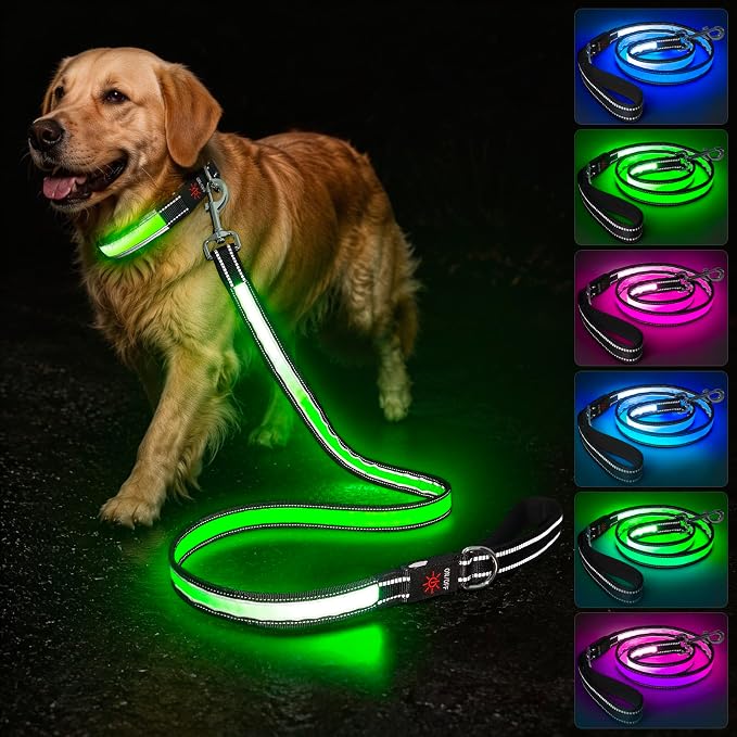 5 Ft LED Dog Leash, Light Up & Lighted Dog Leash, 7 Lighting Modes, Glow in The Dark, Reflective, Double-Sided Light, Rechargeable with Padded Handle for Night Walking Safety, Small to Large Pets by Visinite