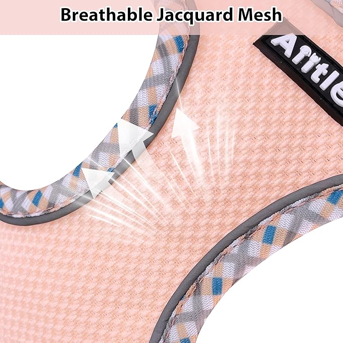 Small Dog Harness and Leash Set with Magic Tape, Turquoise-Pink XS | No Pull Step-in Vest for Puppy, Breathable Mesh, Reflective & Escape-Proof Design, Outdoor Use for Chihuahua, Maltese - Image 7