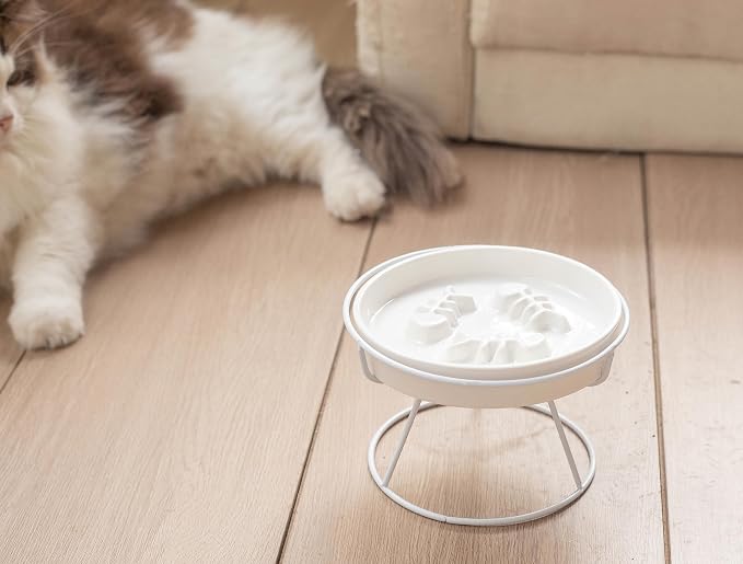 Ceramic Elevated Slow Feeder Cat Bowl, Anti Vomit, Removable Dish, White | Removable Ceramic Bowl Elevated Anti Vomit Whisker-Friendly Wet & Dry Food White Glazed Finish - Image 6