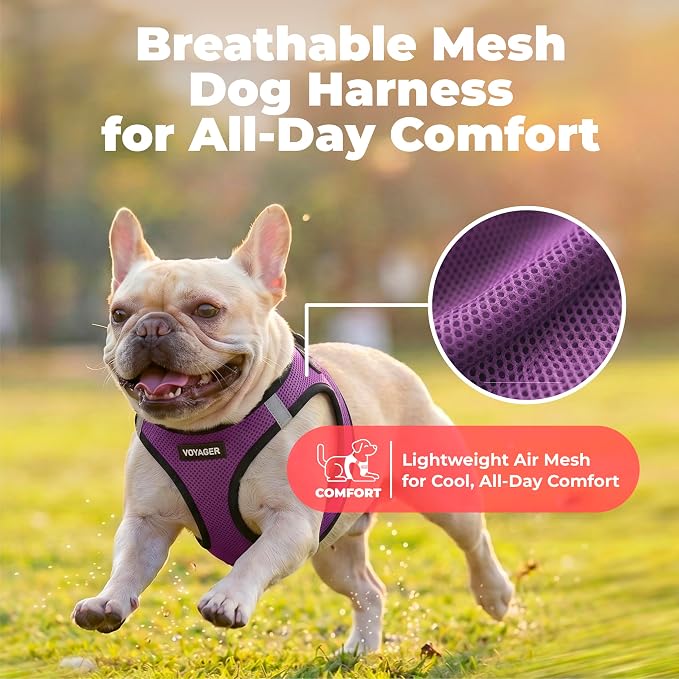 Voyager Step-in Air Dog Vest Harness - Purple/Black Trim, Small | 14.5-16" in Chest, Reflective Bands, All Weather Breathable Air Mesh, Cats Compatible, Lightweight, Fast Drying - Image 5