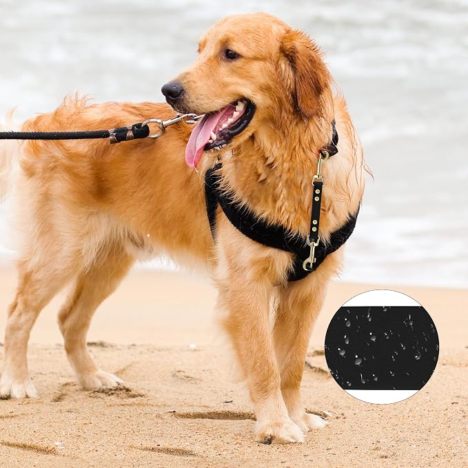 PetBonus Dog Collar Safety Clip, Waterproof Backup Safety Strap | Prong Collar to Harness Connector, Escape Proof, Odor Proof, Easy to Clean, Double Ended Clasp for Training Walking, Black - Image 3