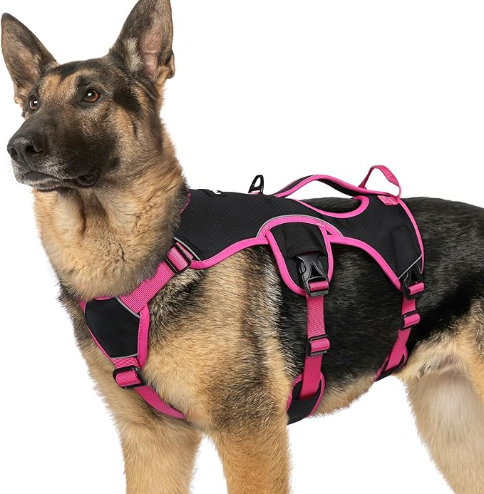 rabbitgoo Escape Proof Dog Harness for X-Large, No Pull with Lift Handle | No Escape, Full Soft Padded, Reflective Adjustable Vest, Leash Clip for Walking Hiking Training, Rose & Black, X-Large by rabbitgoo