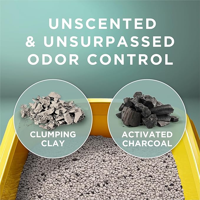 Purina Tidy Cats Free and Clean Unscented Clumping Cat Litter, 38 lb Box | Activated charcoal delivers lasting odor control, made without fragrances or dye, clumping - Image 5