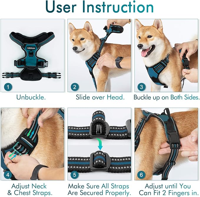 rabbitgoo Dog Harness, No Pull Medium Sized with 2 Leash Clips, Pet Vest | No Choke with Handle, Adjustable Soft Padded, Reflective, Easy Control for Walking, Blue Coral, Medium - Image 8