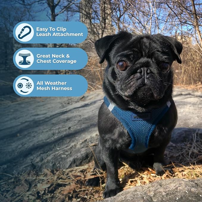 Best Pet Supplies Voyager Step-in Air All Weather Mesh Harness and Reflective Dog 5ft Leash Combo with Neoprene Handle, for Small, Medium and Large Breed Puppies - Blue, X-Small - Image 5