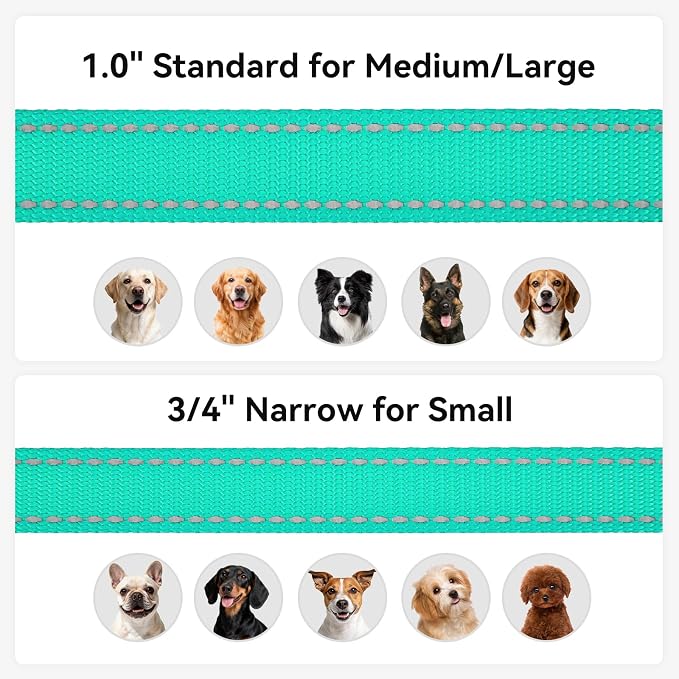 Joytale Reflective Dog Leash for Medium & Large Dogs, 5 FT x 1", Turquoise | Heavy Duty Nylon Webbing, Padded Handle for Comfort, Visible at Night, for Walking & Training - Image 6