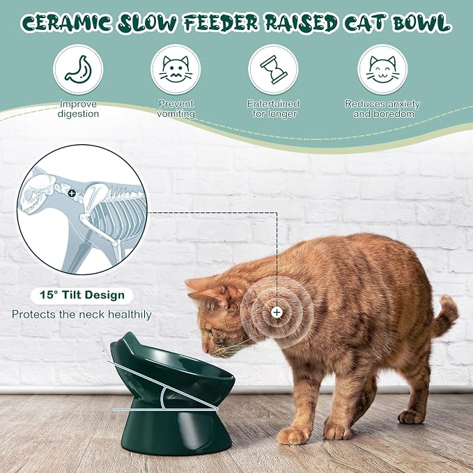 Funnymoom 2 Pcs Ceramic Raised Slow Feeder Cat Bowl, 5.91inch Elevated Cat Slow Feeder Bowl Tilted Anti Vomiting for Dry Wet Food and Water Easy to Clean High Edge(Dark Green) - Image 4