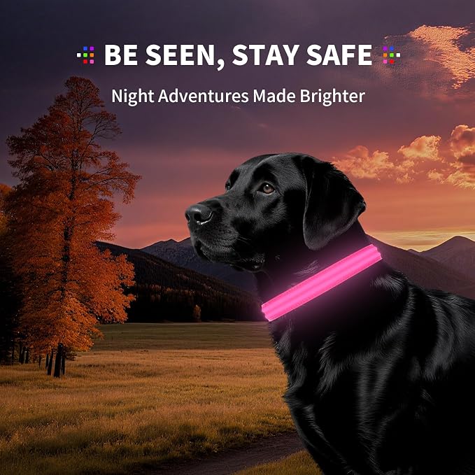 Light Up Dog Collar for Night Walking, Reflective LED Collar(Pink, X-Large) | Bright Safety Glow in the Dark, Adjustable Comfort Fit, Waterproof, Long Runtime, Easy USB-C Charging - Image 5