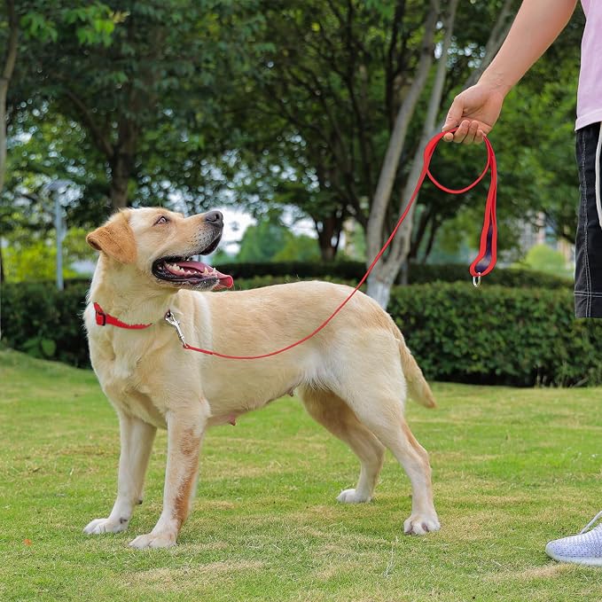 Waterproof Dog Leash, 5/6 FT Durable Odor-Proof Dog Leashes with Strong Metal Hooks Fits Small Medium or Large Dogs (Red, 5FT - 3/4 inch Width) - Image 6