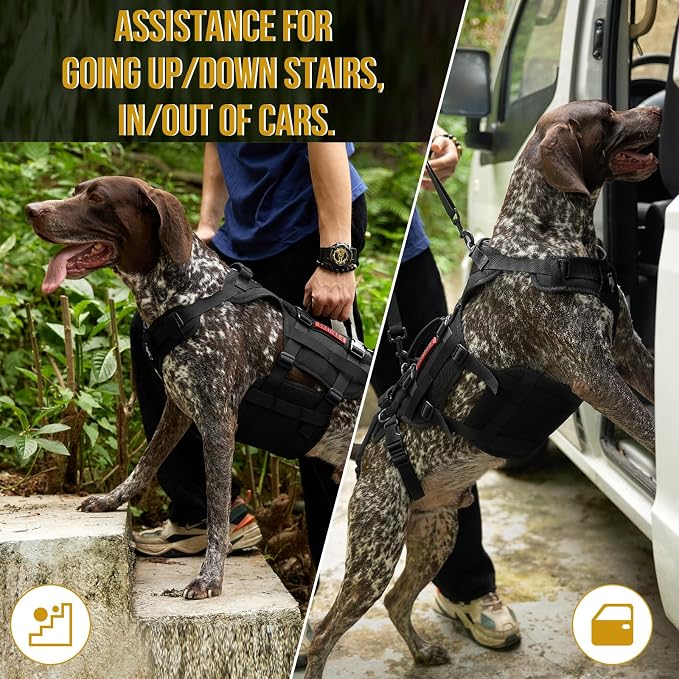 OneTigris Dog Lift Harness for Large Dogs, Dog Hip Support Brace, Full Body Dogs Lifter with Handles Invictus Multifunctional Mobility Assistance Vest for Back Legs (Black, Medium) - Image 4