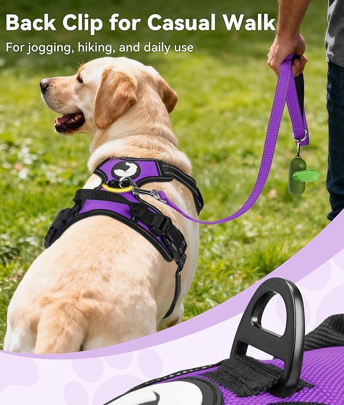 Joytale No Pull Dog Harness Medium Sized Dog, Front Clip, Purple | Grab Handle for Instant Control, Padded & Adjustable Vest, Sturdy Metal D-Rings, for Safe Training & Daily Walking - Image 4