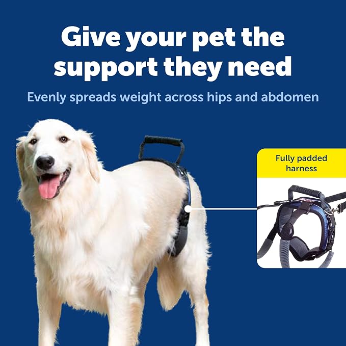 PetSafe Solvit Pet Lifting Aid for Rear Portion, Large, Black (62365) | Dog Lifting Aid with Handle & Shoulder Strap, Adjustable, Padded, Machine Washable, Helps Reduce Strain & Pain - Image 3