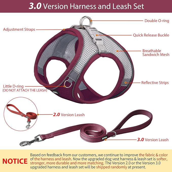 AIITLE Dog Harness and Leash Set, Step-in Puppy Pet Vest, Burgundy M | Breathable Mesh, Adjustable Fit, Reflective Design, Padded Leash Handle, for Small-Medium Dogs & Cats, Walking, Training - Image 4