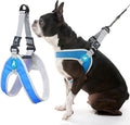 Gooby Simple Step-in III Dog Harness, Blue, Small | Slide-to-fit chest strap; Breathable inner mesh; Scratch-resistant outer; Quick-release buckle; Durable POM leash ring by Gooby