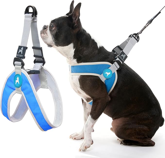 Gooby Simple Step-in III Dog Harness, Blue, Small | Slide-to-fit chest strap; Breathable inner mesh; Scratch-resistant outer; Quick-release buckle; Durable POM leash ring by Gooby