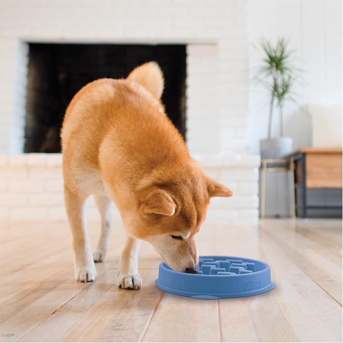 Outward Hound Fun Feeder Slo Bowl – Medium 2‑Cup Capacity, Slow Feeding, Small to Medium Dogs & Cats, Non-Slip, Blue, Notch Pattern | Slows Fast Eaters, Can Aid Digestion, Holds 2 Cups Dry or Wet Food, Non-Slip, Easy Clean, No BPA, Small to Medium Dogs... - Image 6