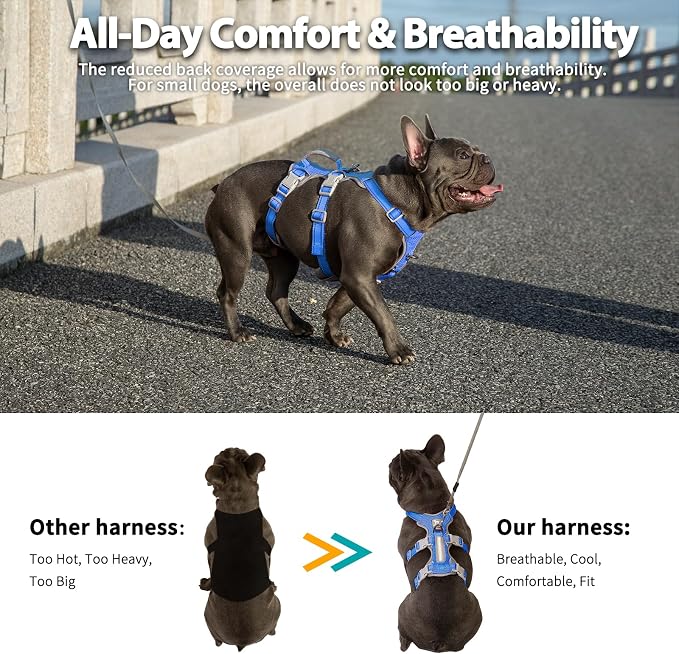 Escape Proof Dog Harness, No Pull Reflective Harness with Lift Handle,Adjustable Pet Vest with Front and Back Leash Clips for Small Medium Large Dogs Walking Hiking Training (Sea Blue,L) - Image 5
