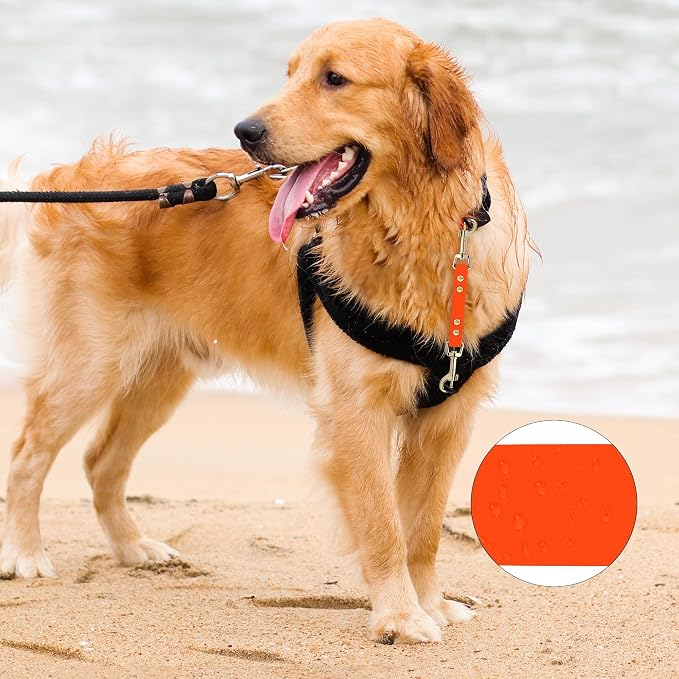 PetBonus Dog Collar Safety Clip, Waterproof Backup Safety Strap | Prong Collar to Harness Connector, Escape Proof, Odor Proof, Easy to Clean, Double Ended Clasp for Training Walking, Orange - Image 3