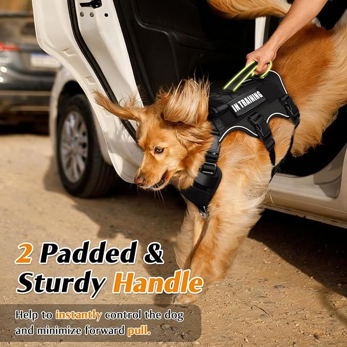 WINSEE Escape Proof Dog Harness with Double Handle+4 Removable Patches | Service Working Molle Harness with Double Handle for Large Dogs, Tactical Pet Reflective Vest for Walking Hiking Hunting - Image 3