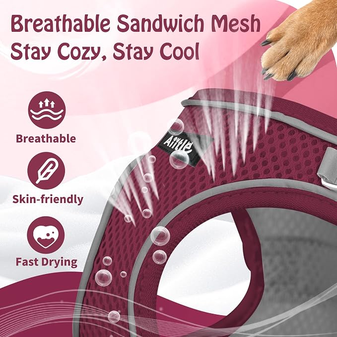 AIITLE Dog Harness and Leash Set, Step-in Puppy Pet Vest, Burgundy M | Breathable Mesh, Adjustable Fit, Reflective Design, Padded Leash Handle, for Small-Medium Dogs & Cats, Walking, Training - Image 9