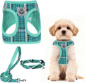 PUPTECK Dog Harness, Collar and Leash Set No Pull for Small Medium Sized | Plaid Puppy Step-in Escape Proof Reflective No Choke Pet Cat Adjustable Walking Vest by PUPTECK