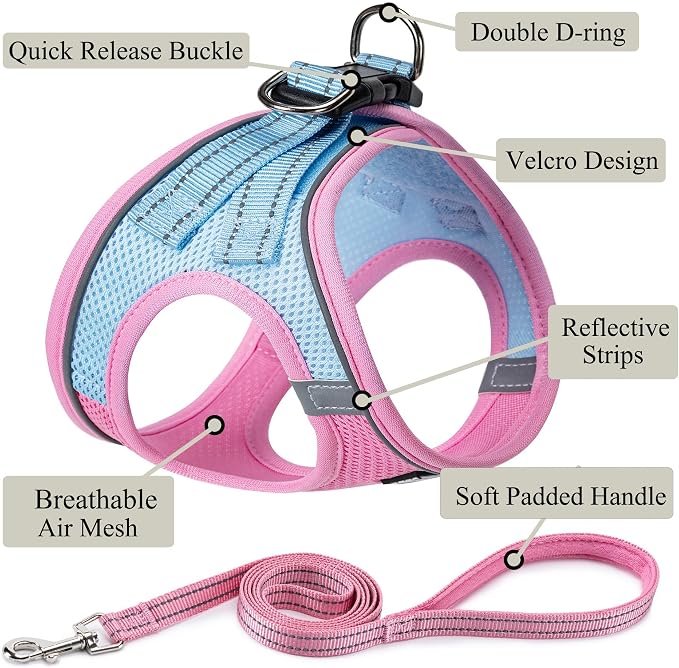 Dog Harness with Leash Set, Step-in Adjustable Puppy Vest, Pink Green XXS | Lightweight Breathable Air Mesh, Night Safety Reflective, No Pull Puppy Vest Harnesses for Small Medium Large Dogs, Cats - Image 2