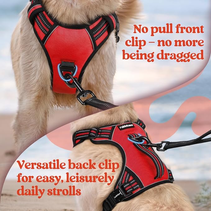 rabbitgoo Large Dog Harness, Easy Wear with 3 Buckles and Lift Handle | No Pull with Front Clip for Walking, Adjustable Soft Padded, Reflective, Easy Control, Red, Large - Image 6