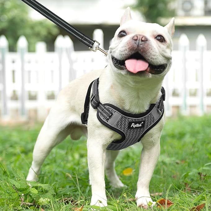 PUPTECK Dog Harness and Leash Set Medium Sized, Step in No Pull Adjustable Puppy Cat Harness Reflective Pet Vest - Image 5