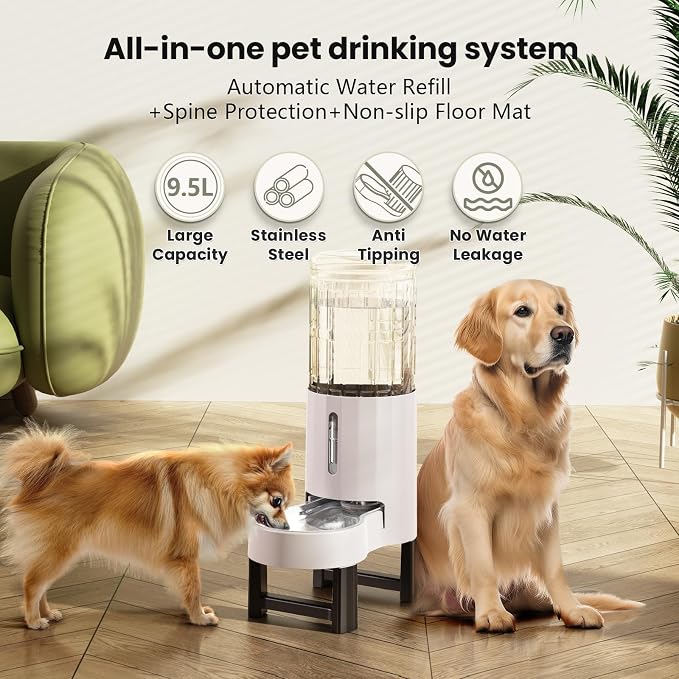 CZPET Elevated Dog Water Bowl Dispenser for Large Dogs (9.5L+Stand,White) | With Stainless Steel Bowl Gravity Waterer, Large Capacity and Drinking Area Noise-Free for Pets - Image 2