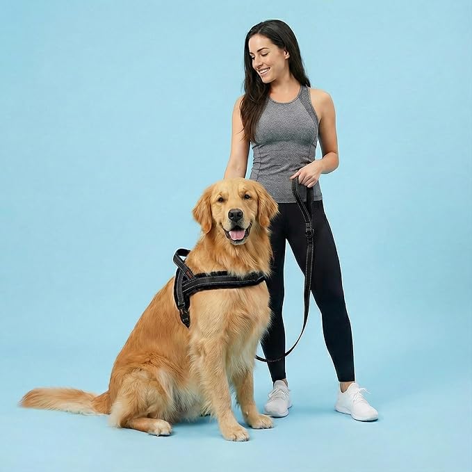 Didog 6FT Reflective Dog Leash for Medium Large Dogs,Slim 3/4" Width, Black | Soft Padded Handle, Plush Comfort Grip, Tangle-Free, 360°Heavy-Duty Strengthened Clasp for Daily Walks/Training, Night Safety - Image 3